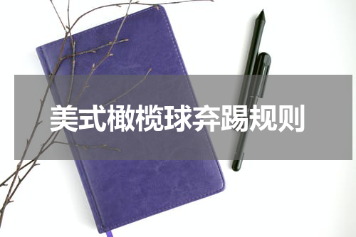 美式橄榄球弃踢规则