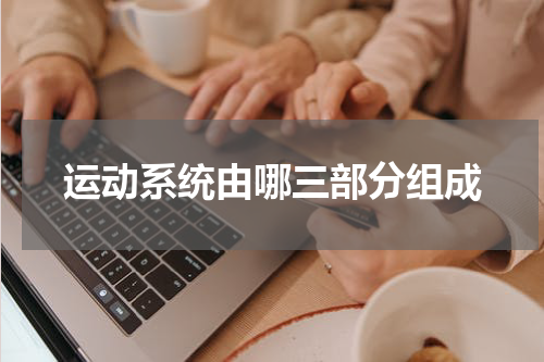 运动系统由哪三部分组成
