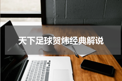 天下足球贺炜经典解说