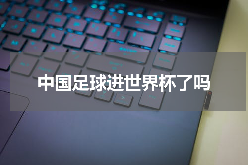 中国足球进世界杯了吗