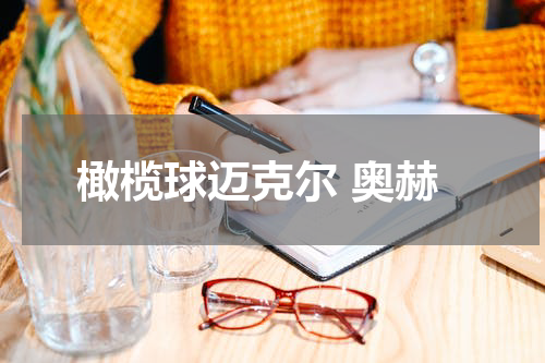 橄榄球迈克尔 奥赫