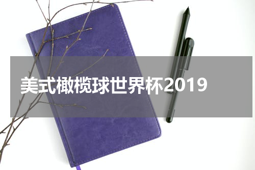 美式橄榄球世界杯2019