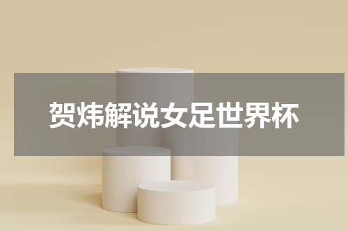 贺炜解说女足世界杯