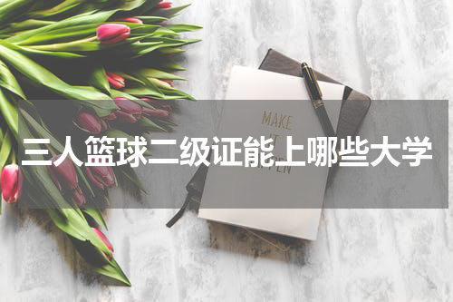 三人篮球二级证能上哪些大学