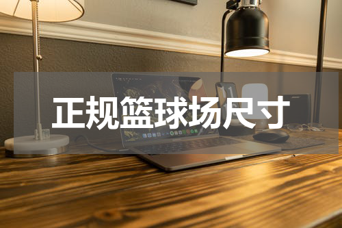 正规篮球场尺寸