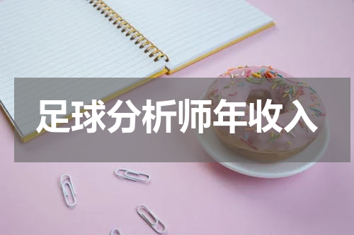 足球分析师年收入