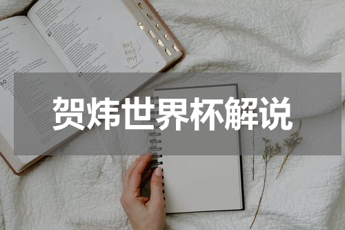 贺炜世界杯解说