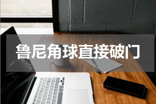 鲁尼角球直接破门