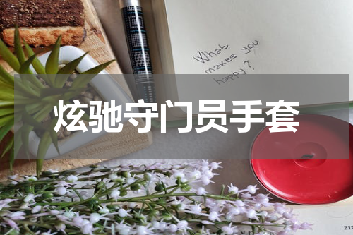 炫驰守门员手套