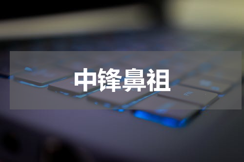 中锋鼻祖