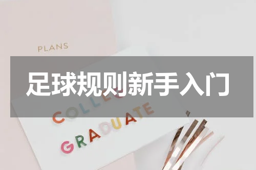 足球规则新手入门