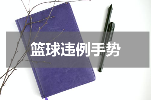 篮球违例手势