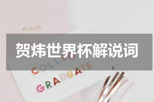 贺炜世界杯解说词