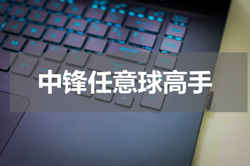 中锋任意球高手
