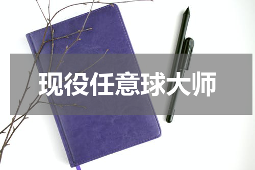现役任意球大师