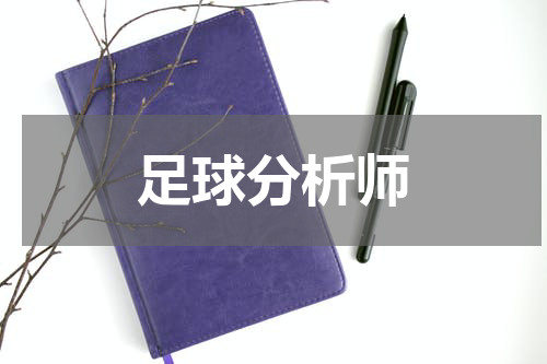 足球分析师