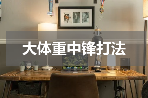 大体重中锋打法