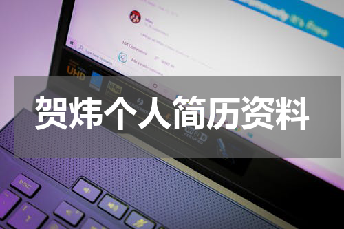 贺炜个人简历资料