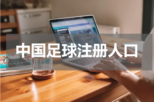 中国足球注册人口