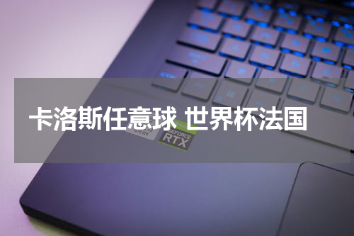 卡洛斯任意球 世界杯法国