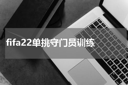 fifa22单挑守门员训练