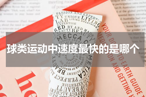 球类运动中速度最快的是哪个