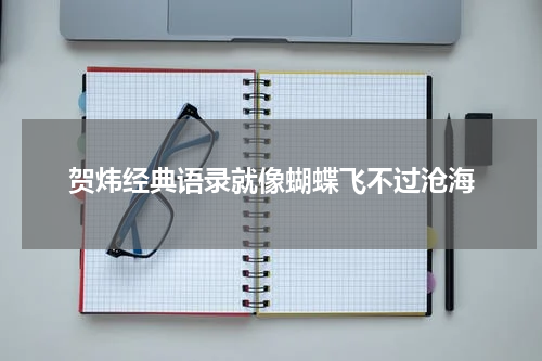 贺炜经典语录就像蝴蝶飞不过沧海