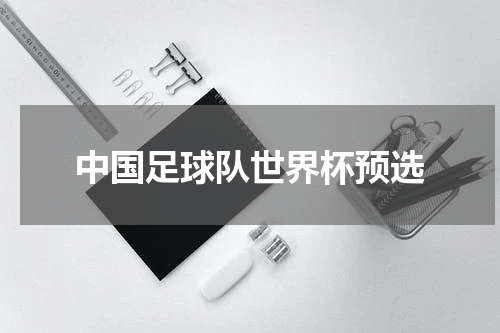中国足球队世界杯预选