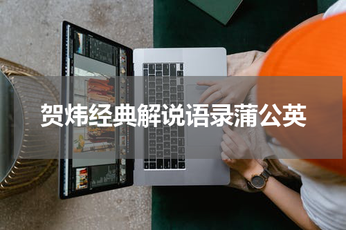 贺炜经典解说语录蒲公英