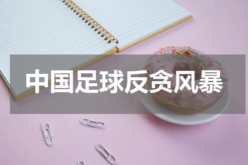 中国足球反贪风暴