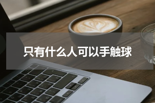只有什么人可以手触球
