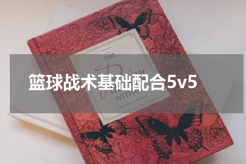 篮球战术基础配合5v5