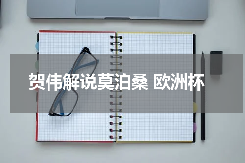 贺伟解说莫泊桑 欧洲杯