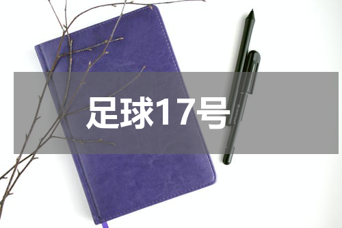 足球17号