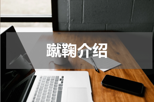 蹴鞠介绍