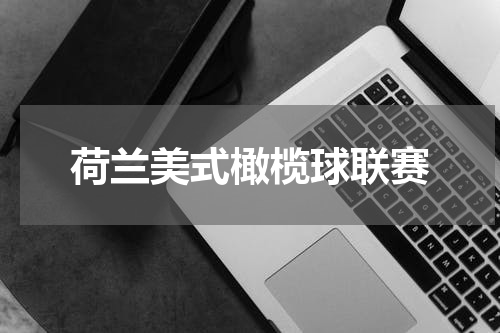 荷兰美式橄榄球联赛