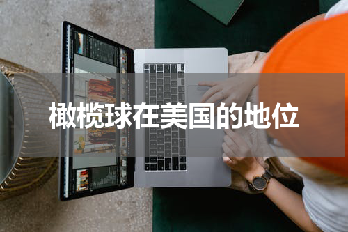 橄榄球在美国的地位