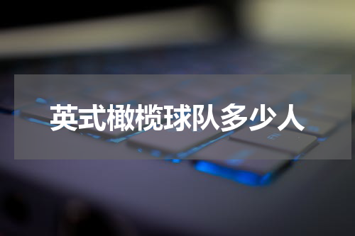 英式橄榄球队多少人