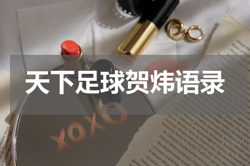 天下足球贺炜语录