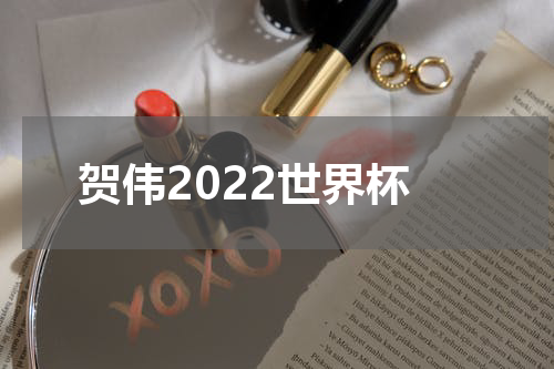 贺伟2022世界杯