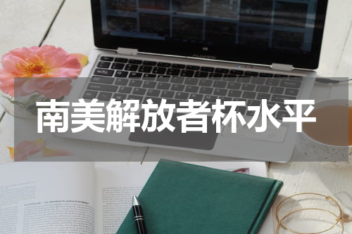 南美解放者杯水平