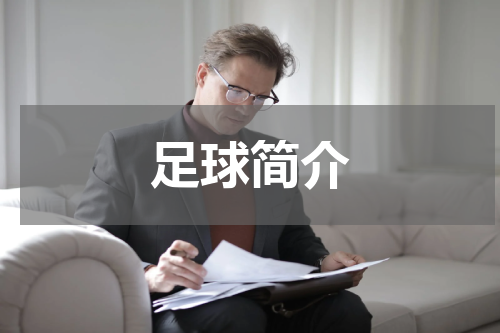 足球简介