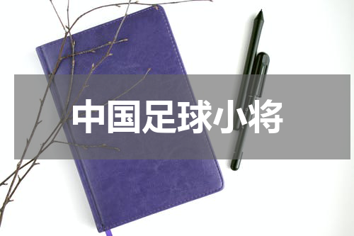 中国足球小将