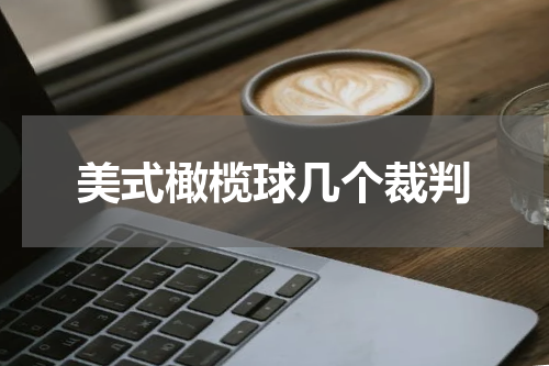 美式橄榄球几个裁判