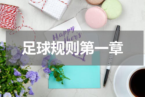 足球规则第一章