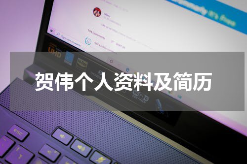 贺伟个人资料及简历