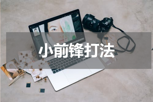小前锋打法
