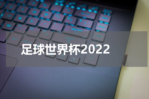 足球世界杯2022