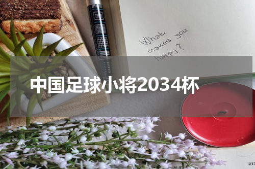 中国足球小将2034杯