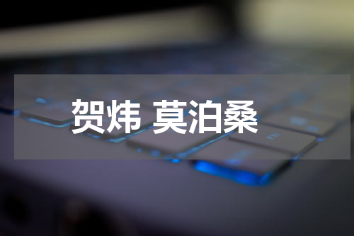 贺炜 莫泊桑